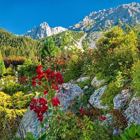 Pension Stoffenbauer Ramsau am Dachstein Eksteriør bilde