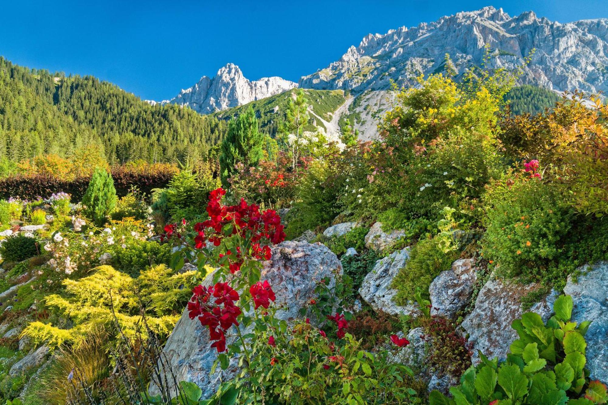 Pension Stoffenbauer Ramsau am Dachstein Eksteriør bilde