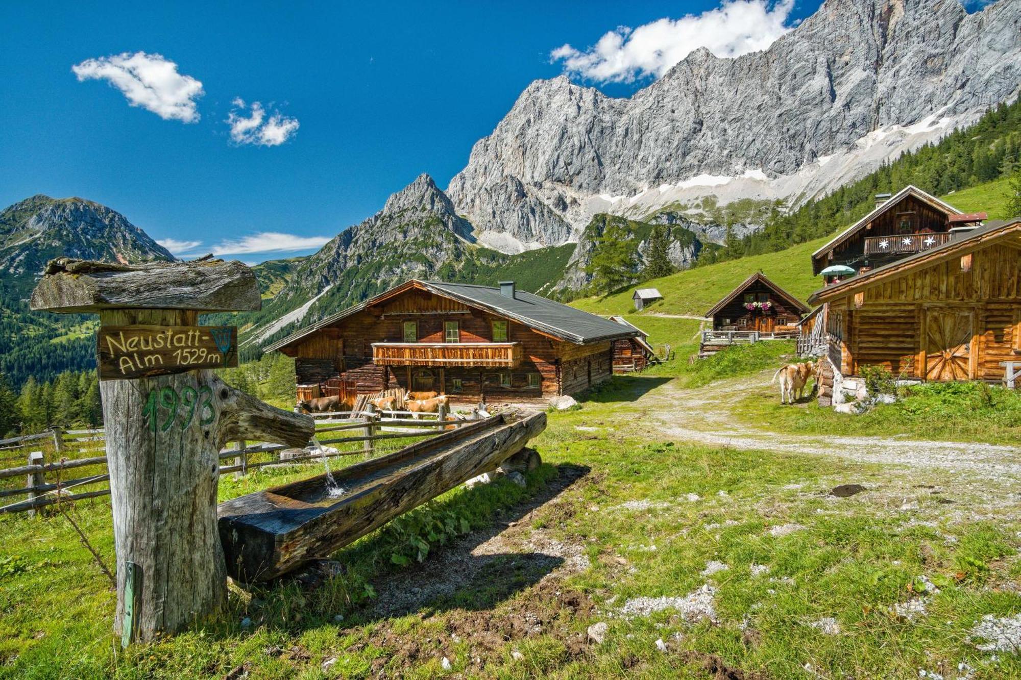 Pension Stoffenbauer Ramsau am Dachstein Eksteriør bilde