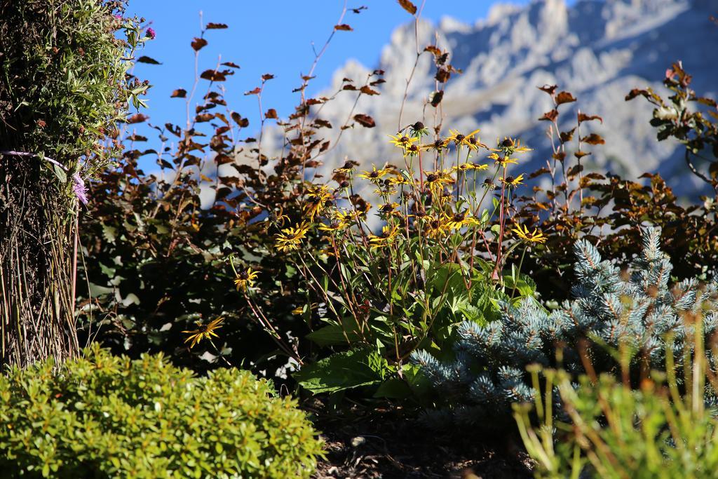 Pension Stoffenbauer Ramsau am Dachstein Eksteriør bilde